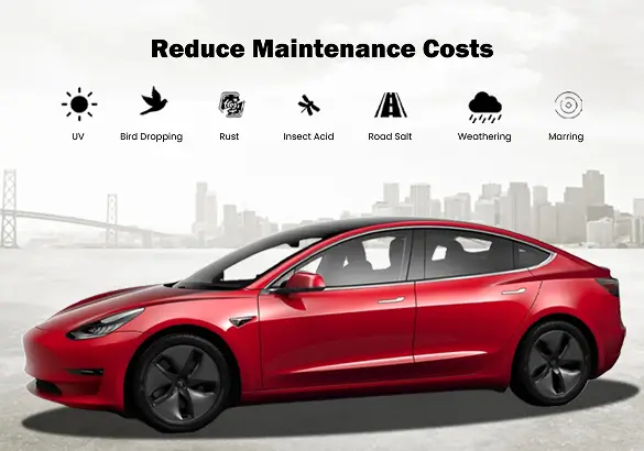 Side view of a red Tesla Model 3 with icons above representing threats like UV rays, bird droppings, rust, insect acid, road salt, weathering, and marring; accompanied by the text “Reduce Maintenance Costs.”